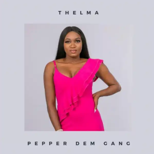 BBNaija 2019 Housemate, Thelma And Waje Are Lookalikes - Fans (Photos)